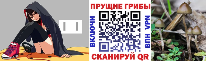 МЕГА рабочий сайт  Кореновск  Псилоцибиновые грибы ЛСД 
